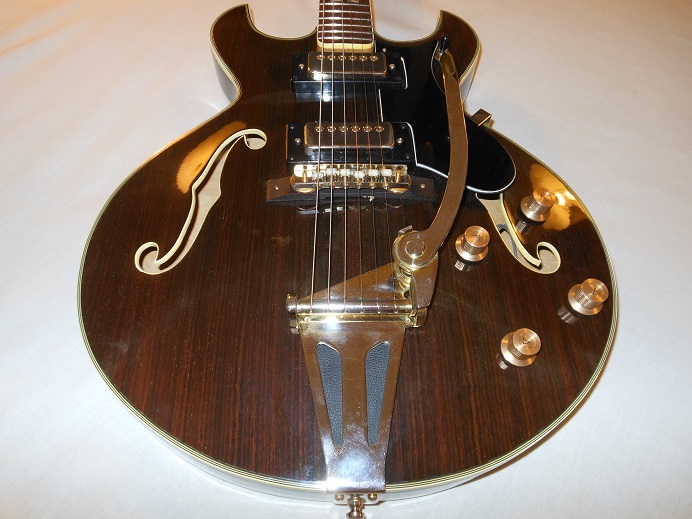 HollowBodyRosewood Picture 14